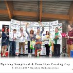 Euro Live Carving Cup